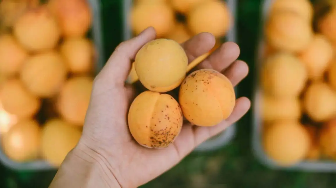 An Apricot a Day can Improve Men's Health